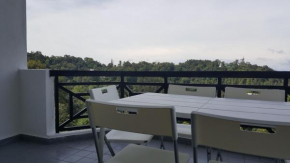 Silverpark Resort C2-5-1 or C3-3A-2 walk up